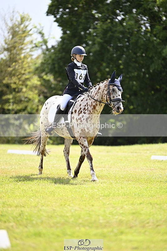 240824X-125619-26621 - D80 Section E and F 12.00 to 13.20