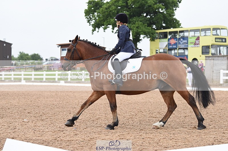 230708A-105250-01475 - Prelim 7