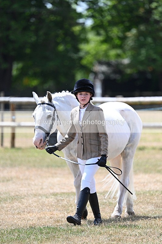 WJ7_2145 - Class 5 Most Handsome Gelding (up to 14.2hh) in hand