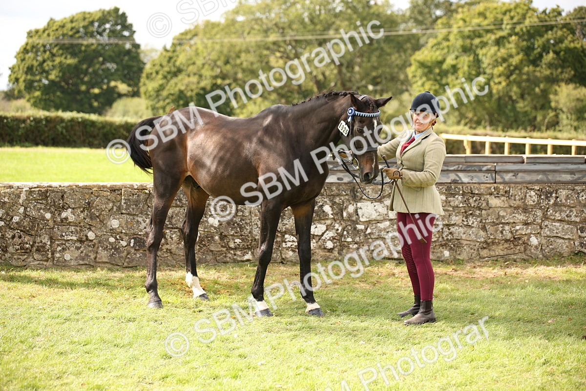 SBM_46409 - S25 - Mature Veteran In Hand