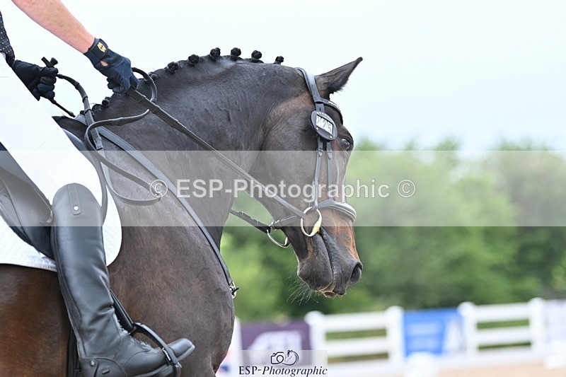 ESP_1270 - Cls 51 BD Elementary 53