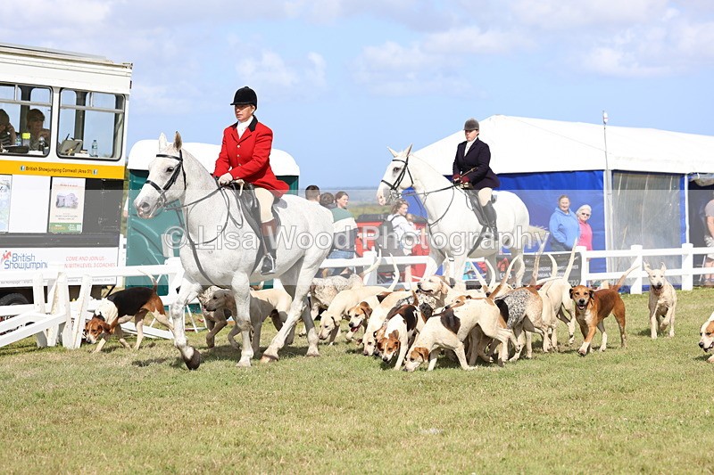 3E7A3354 - Parade of Hounds