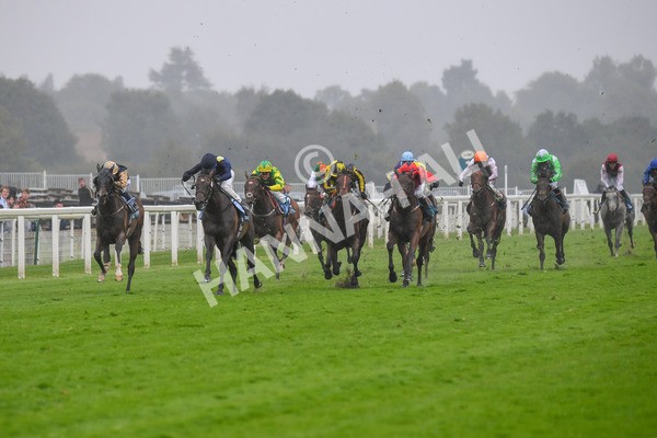 140723-Race 5-Monte Linas-0498 - Race 5 4.25pm Coopers Marquees Handicap