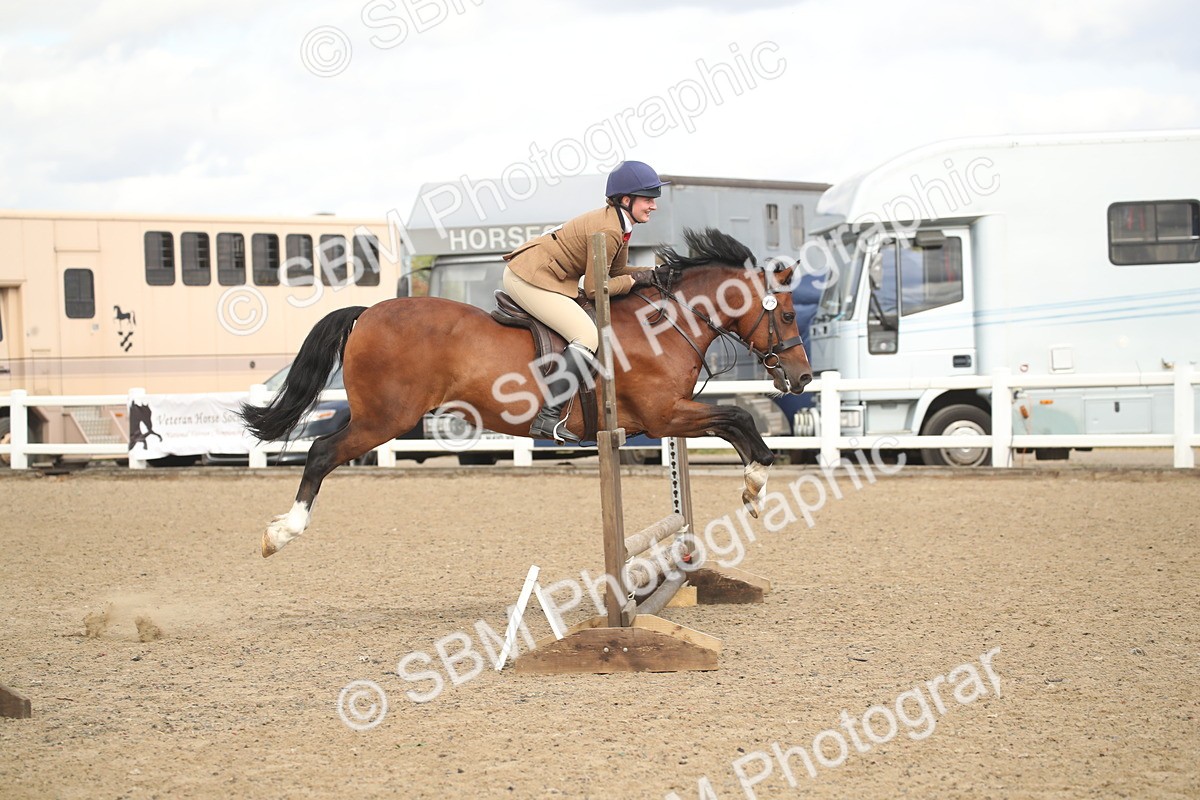 SBM_14520 - Class 505a - M&M Working Veteran - 50cm (15-19)