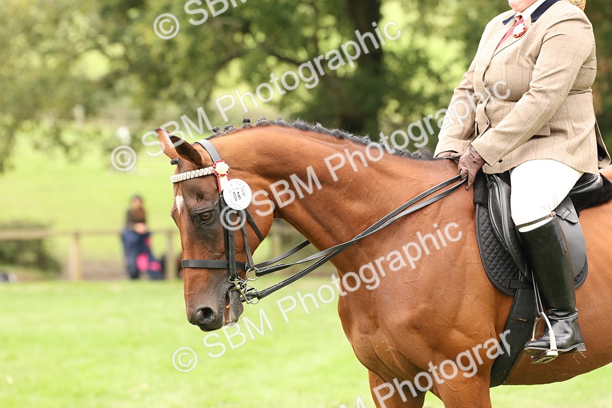 SBM_64315 - S65 - Riding Horse & Hack & Thoroughbred Ridden