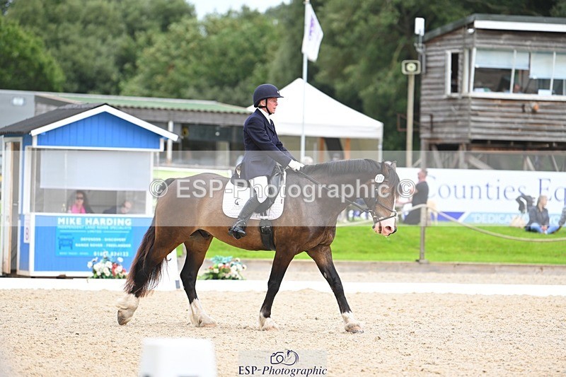 230813-140649-07680 - Cls 13 Medium Bronze 13.15 to End