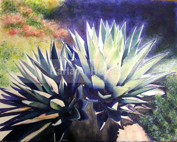 Succulants - Prints