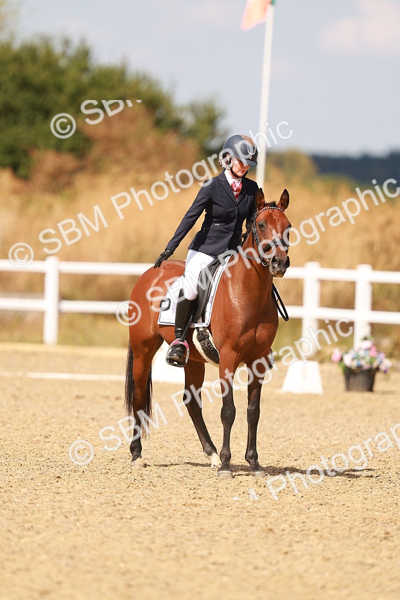 SBM_018516 - Class 9 - N5 Bronze 11.57.13.07
