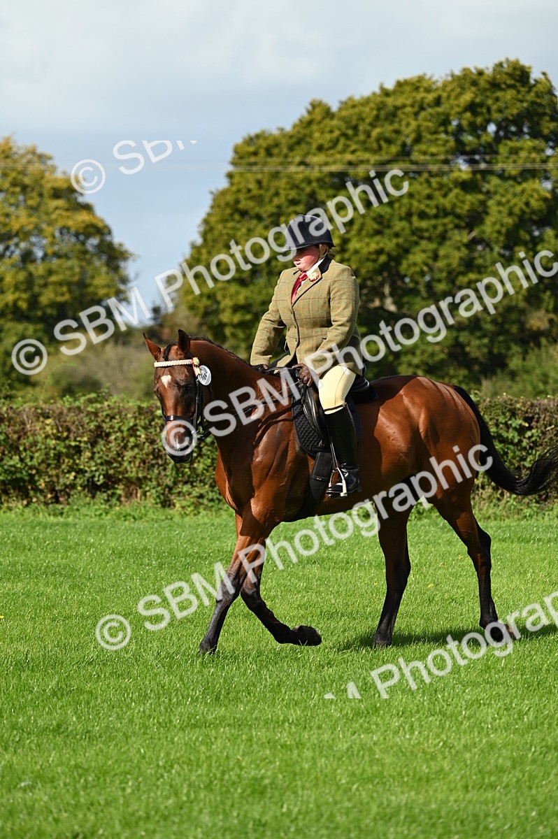 SBM_01666 - S2 - TSR Ridden Horse Showing