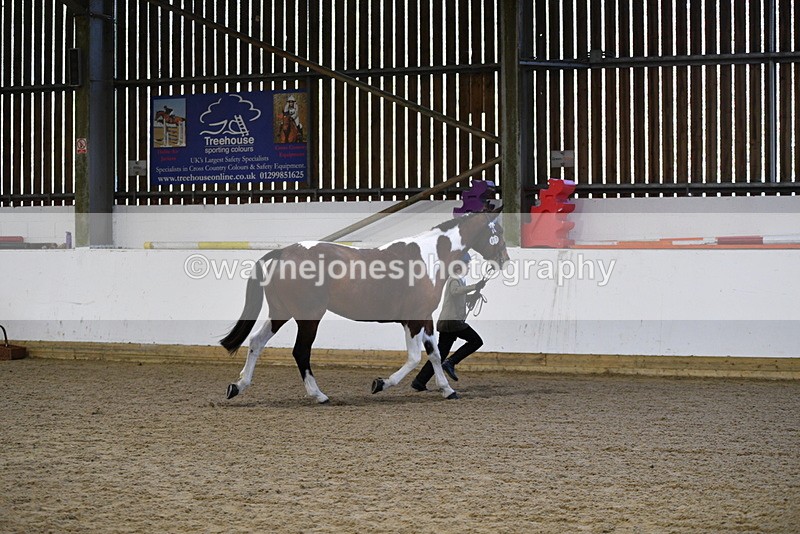 WJ5_3859 - Class 5 In Hand Veterans