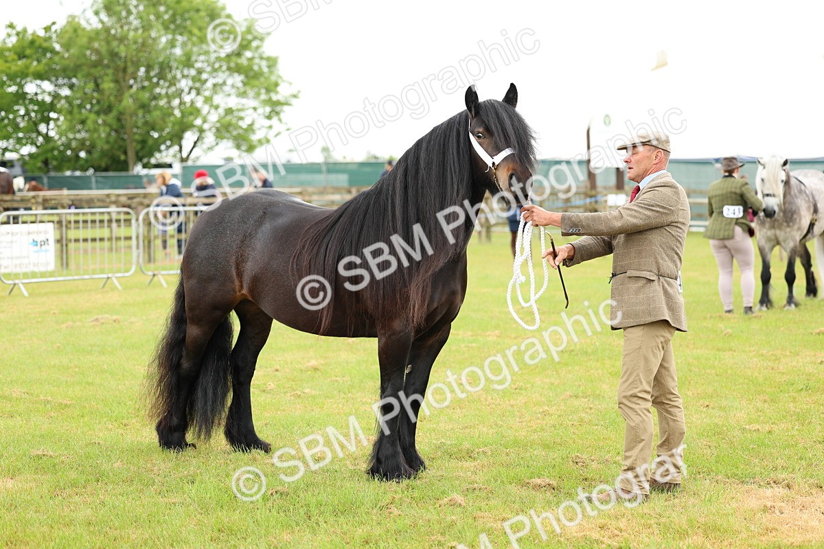 SBM_00517 - Class 58-67 - M&M Non Welsh Pony In hand