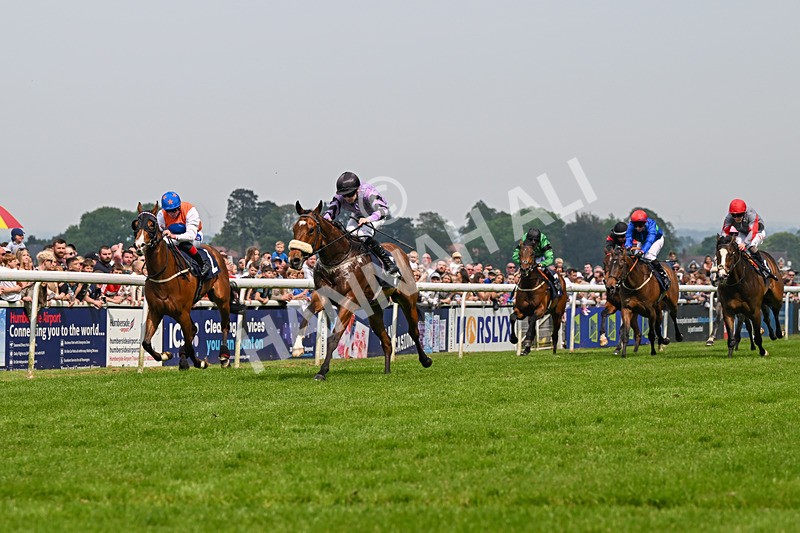 060524-Race 2-Brummell-5988 - Race 2