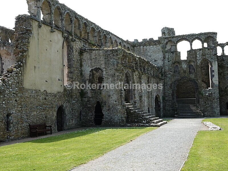DSC00442 - Skomer 2019