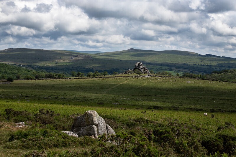 The Vixen - Dartmoor