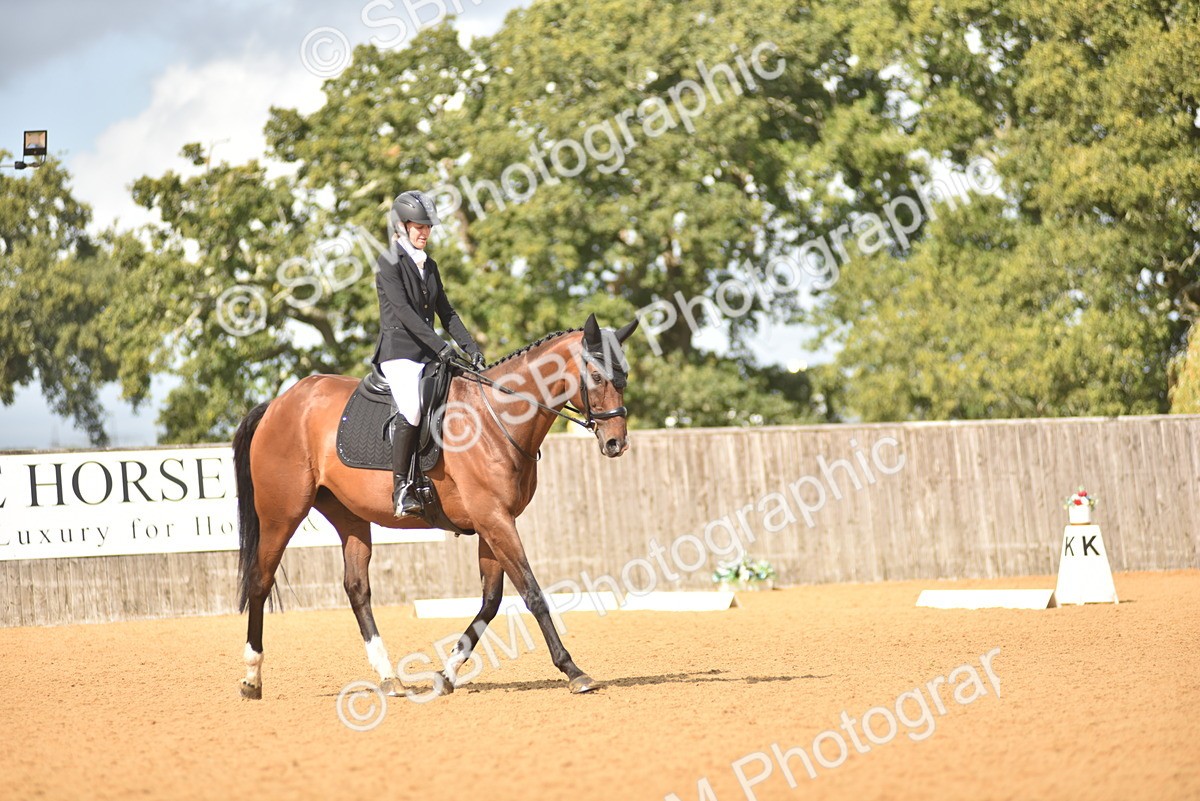SBM_03414 - D4 - Small Tour Championship Intro 4