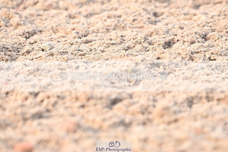 240324A-155243-04640 - Novice 28, 15.33 to 16.15