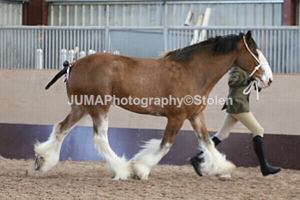 SIAL0199 - Indoor Classes