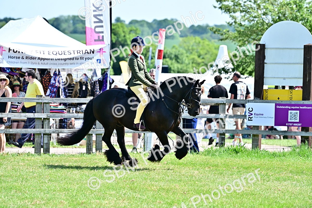 SBM_13999 - Class 95-97 - BSPS LHS Performance Ponies