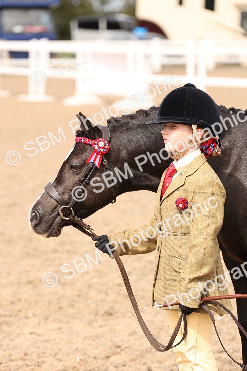SBM_15123 - Class 209 - IH Veteran Pony