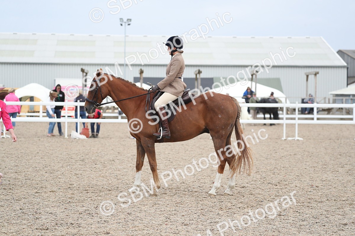 SBM_17414 - Class 315 Best Horse/Rider Combination