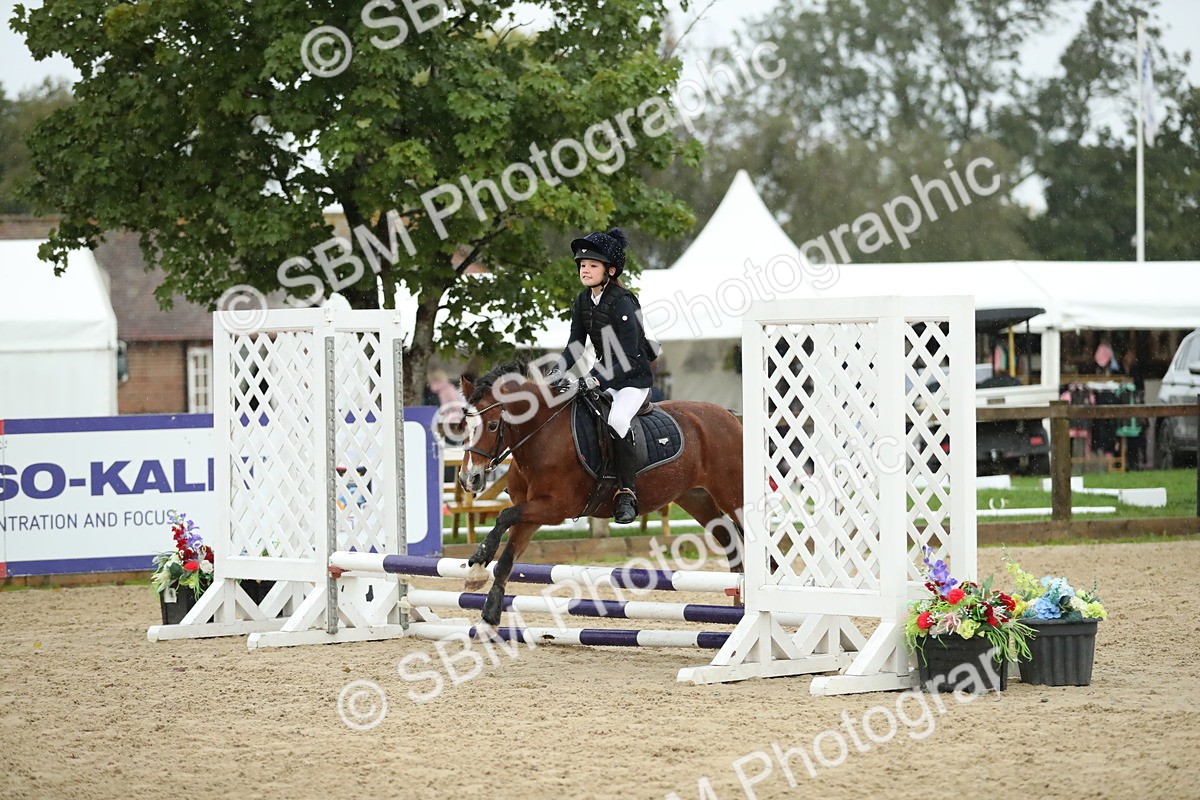 SBM_34324 - J60 Clear Round 50cm