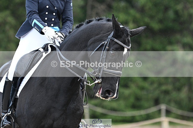 231110-144135-02004 - Cls 8 Medium 75Q