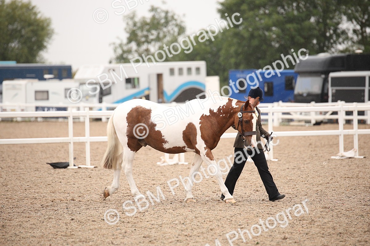 SBM_20157 - Class 703 - IH  Coloured