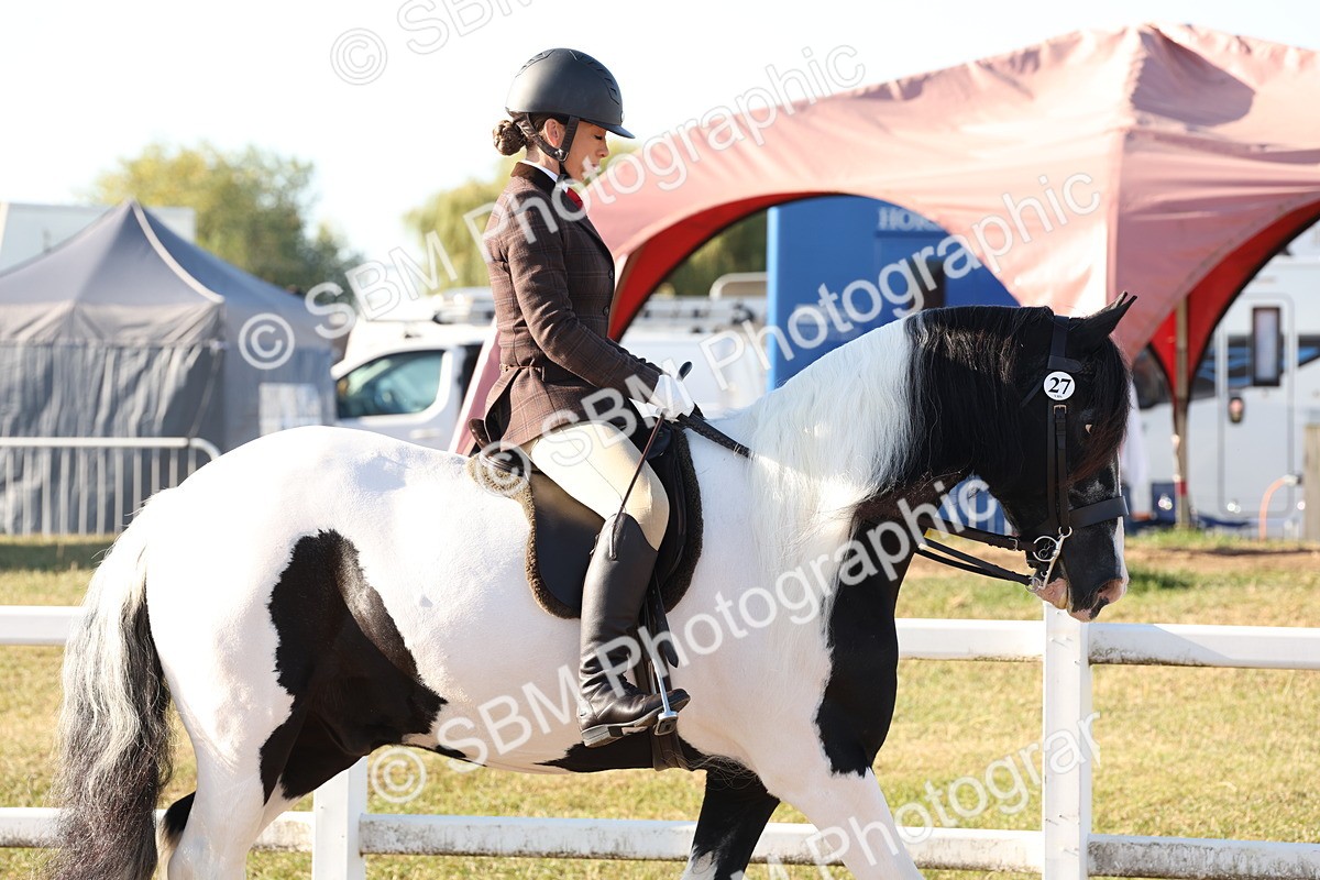 SBM_10821 - Class 202 - Best Turned Out - Ridden