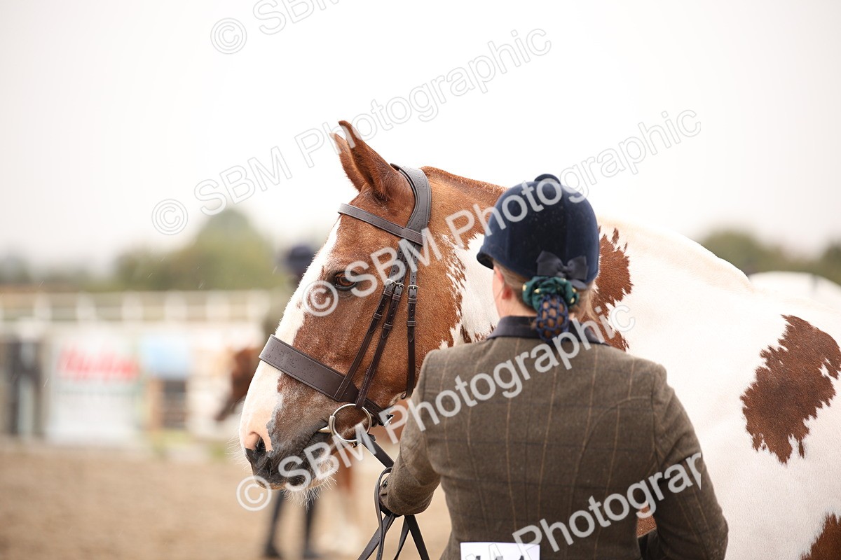 SBM_20193 - Class 703 - IH  Coloured