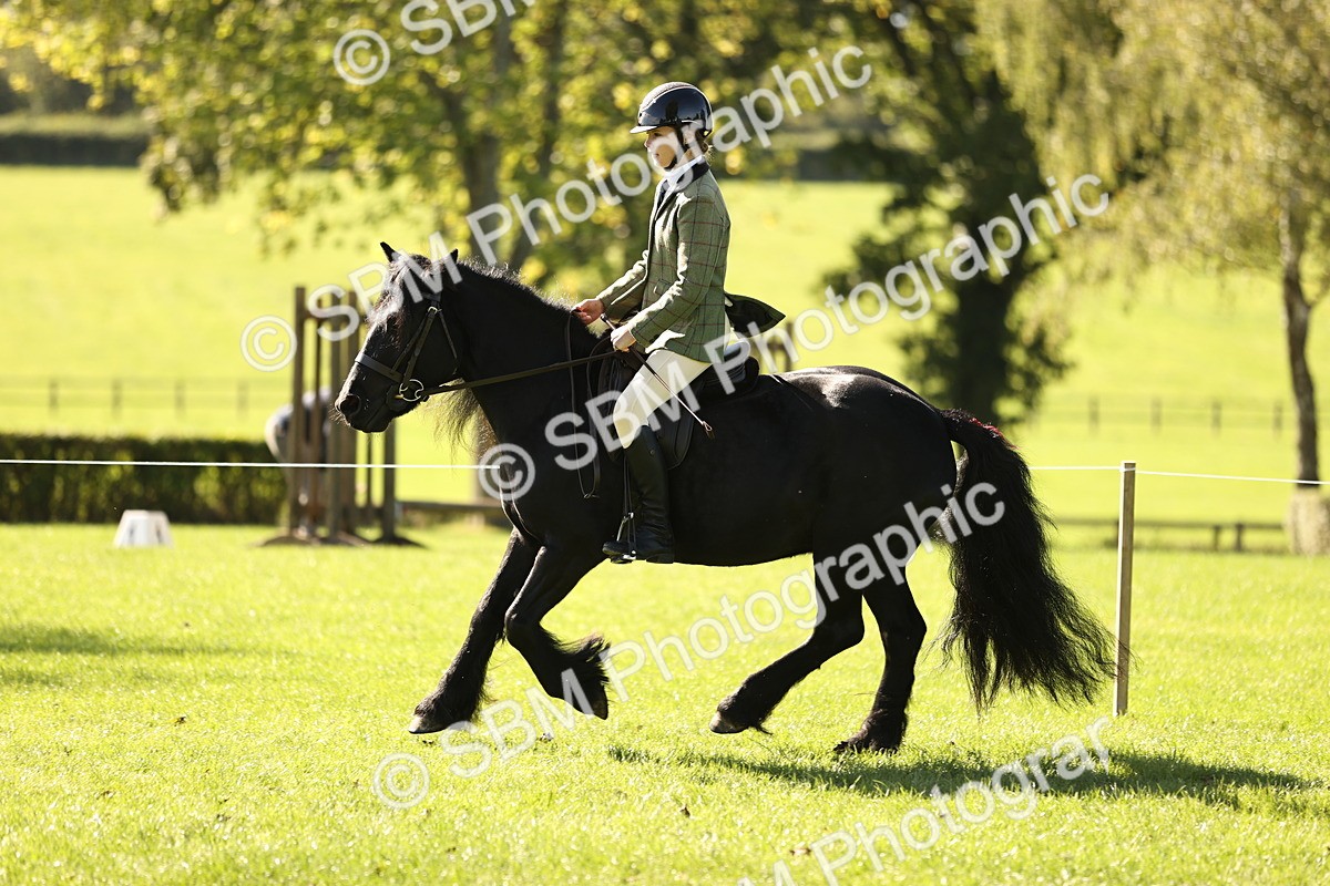 SBM_19140 - S3 - TSR Ridden Pony Showing