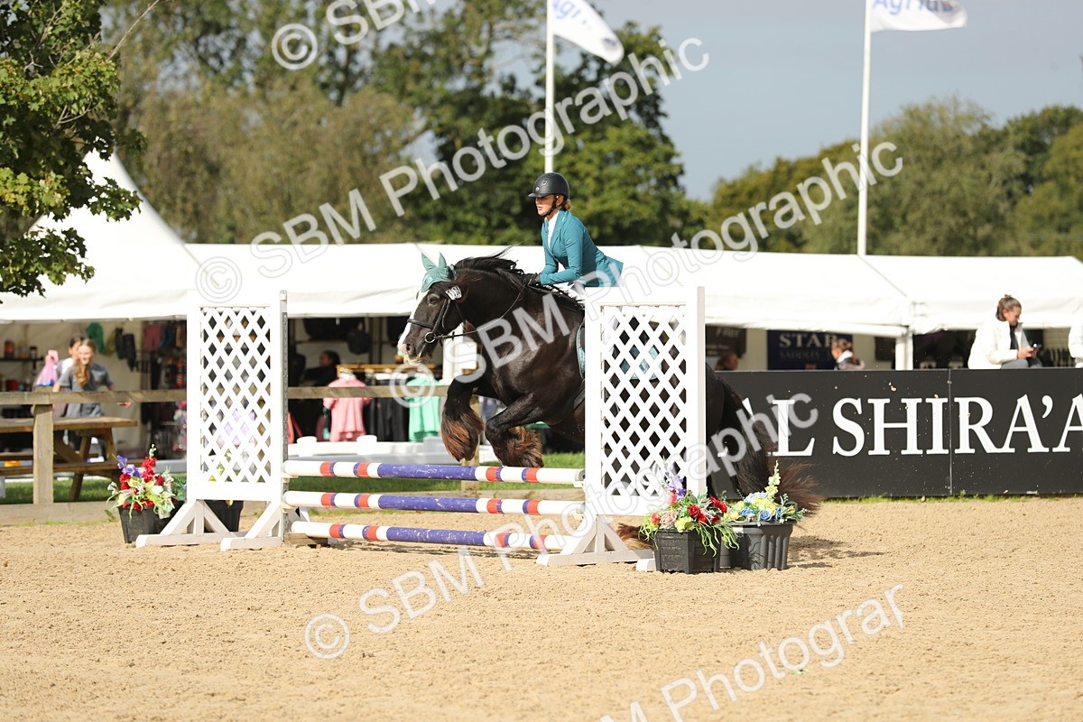 SBM_03158 - J28 - Senior Horse & Pony 60cm Championships