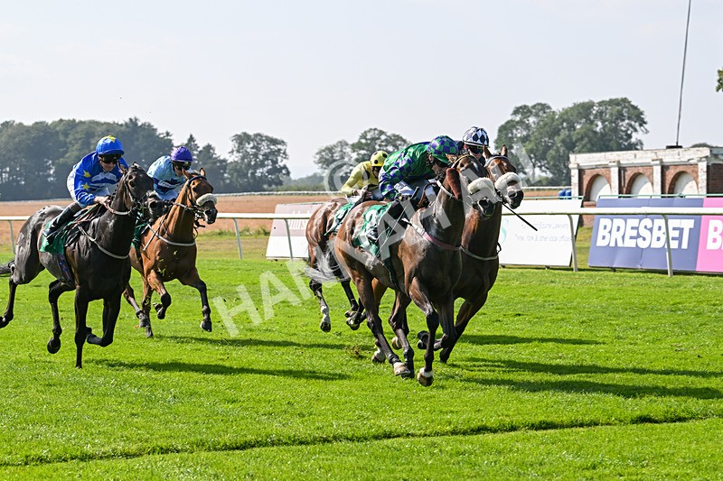 300824-Race 4-Tinto-5983 - Race 4