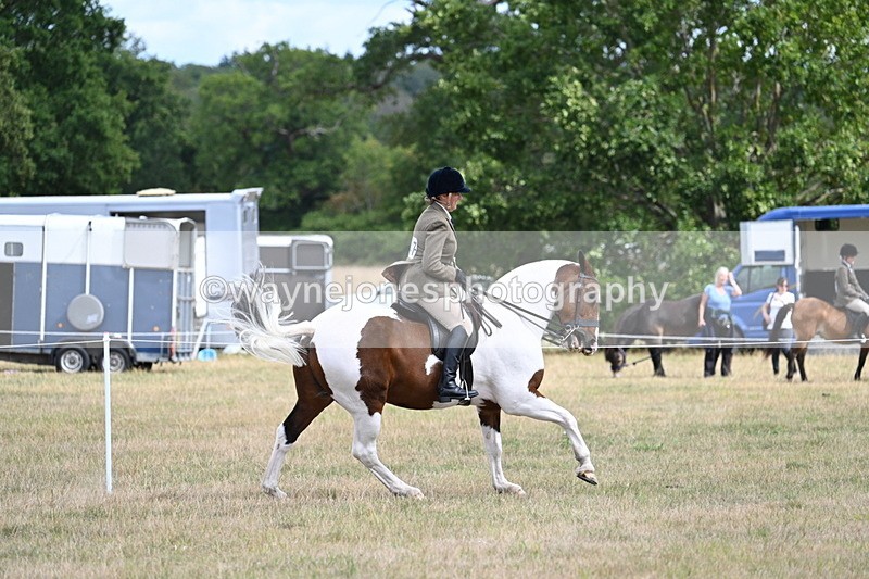 WJ7_5602 - Class 12 Ridden Cob