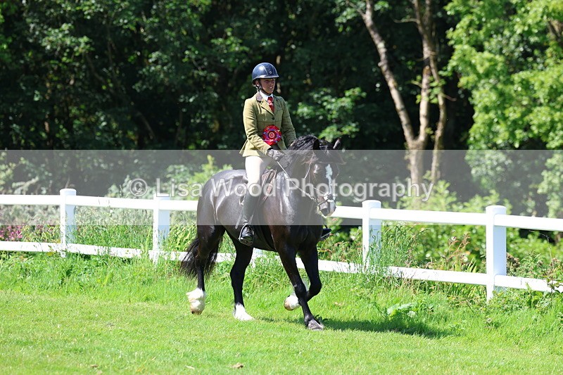 3E7A6731 - Working Hunter Pony Championship