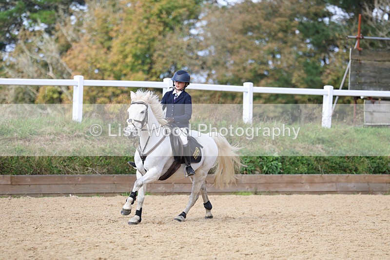 3E7A7215 - Class 3: 60cm open