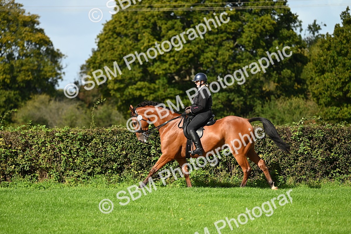 SBM_01610 - S2 - TSR Ridden Horse Showing