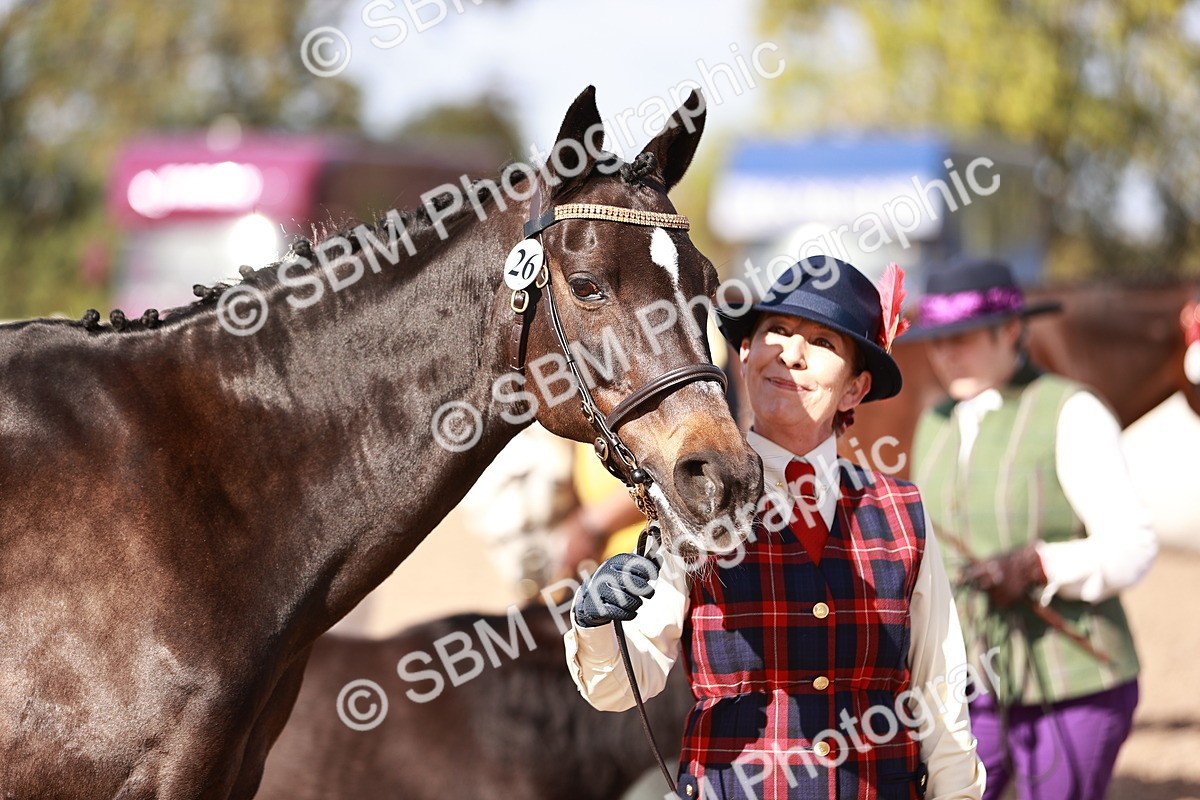 SBM_22804 - Class 705 - IH Combination 65+