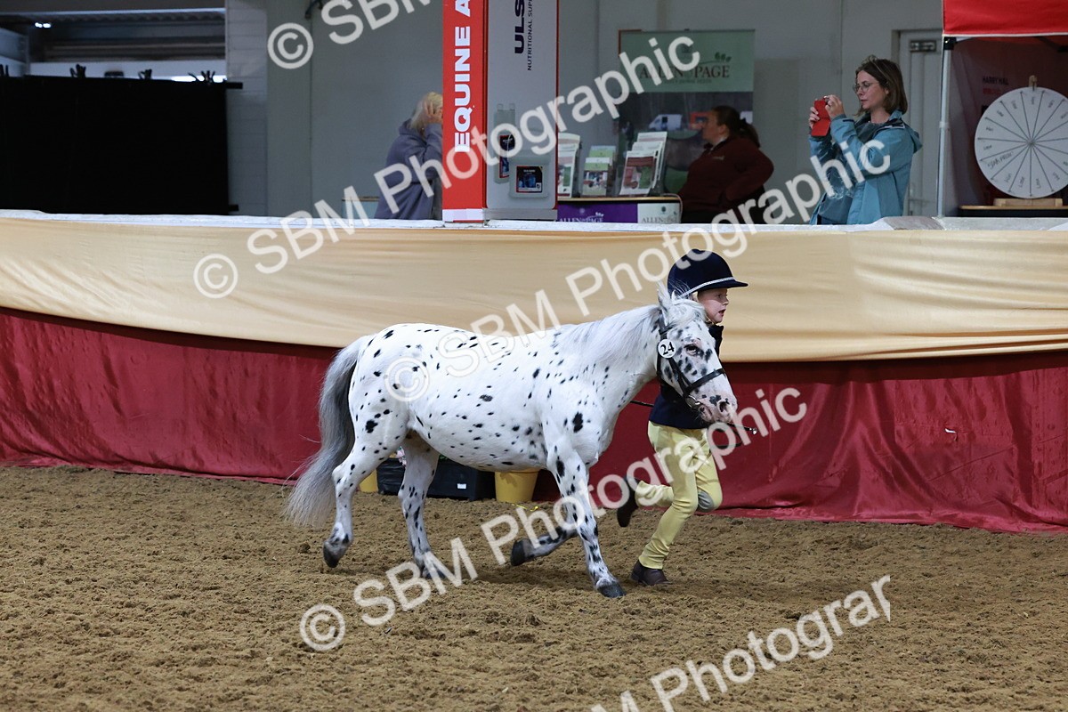 SBM_19932 - Class A - Junior Champ 10yr and Under