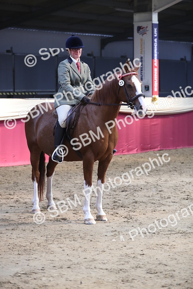 SBM_08371 - Class 11R Regional Ridden Veteran