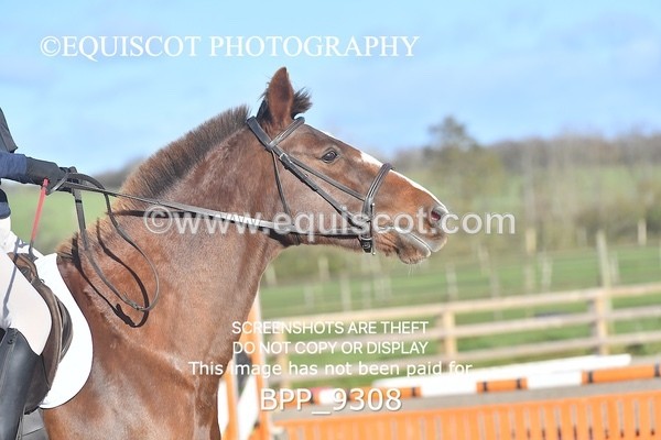 BPP_9308 - CLASS 3 60CM