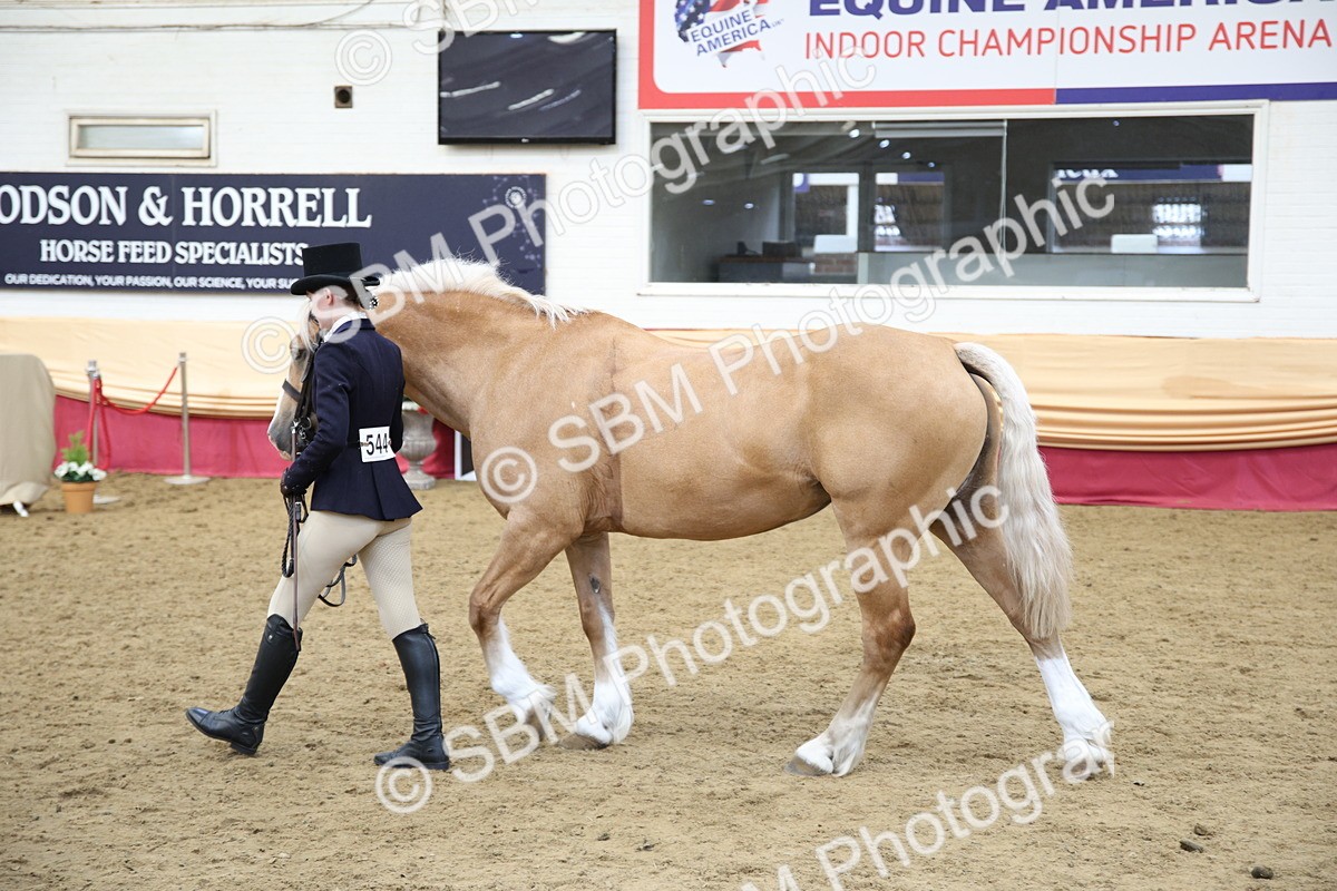SBM_24745 - Class 906 - Supreme Final - Ridden Pre Vet
