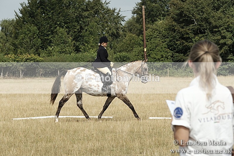_PJP5709 - Dressage Classes BVRC Show 2018
