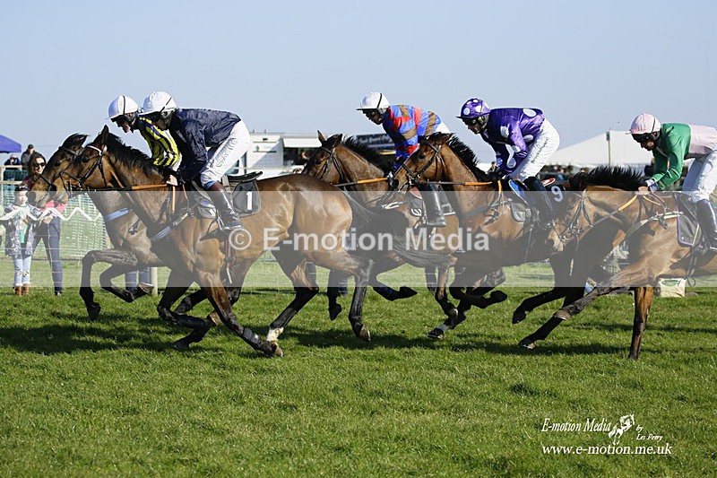 PtP 190322 688 - Wilton Hunt PtP Milborne St Andrew 19/03/22