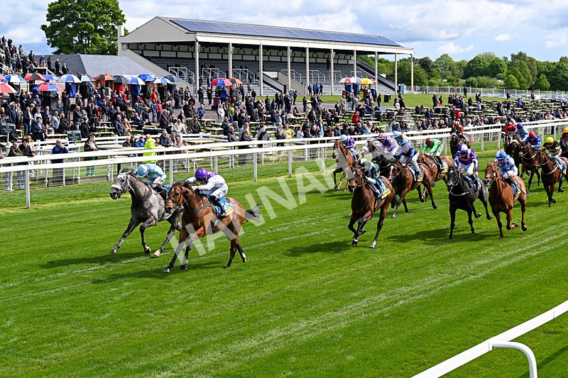 130526-Race 3-Dark Thirty-0170 - Race 3 2.55pm Churchill Tyres Handicap