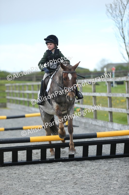 20260412-1851 - Show Jumping