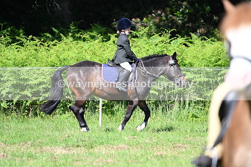 WJ7_0595 - Class 8 First Rally Pony