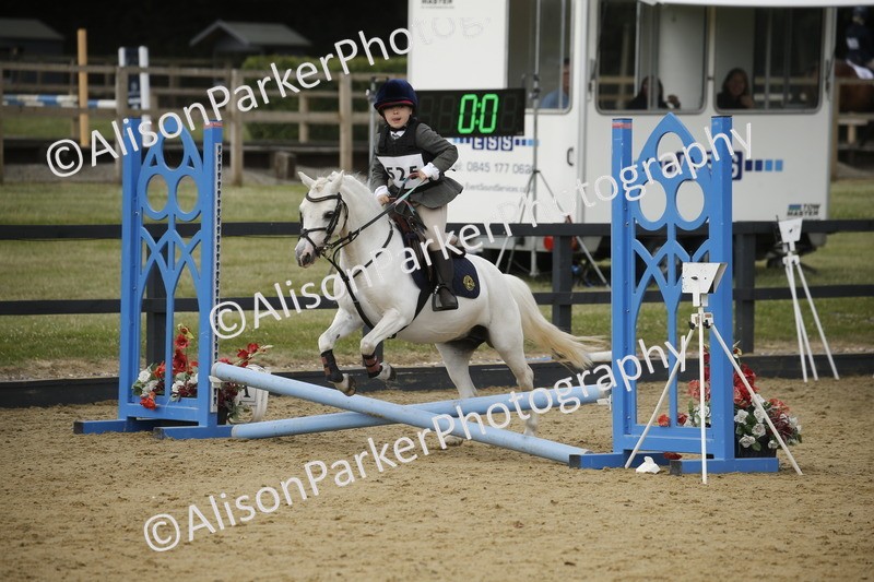 20250622-1468 - 40cm