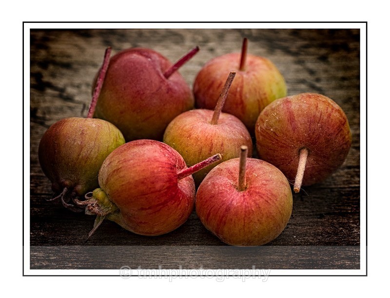 Seven - Still Life / Contemporay Art
