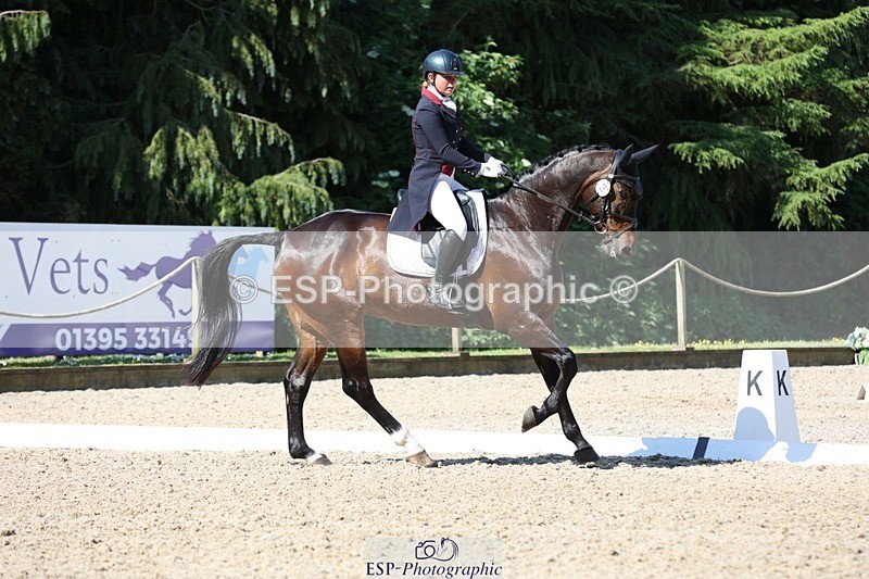 230526-094401-05146 - 357-VIVENDI_HERO-Saffron_Cresswell-WEDTrotUp+DR