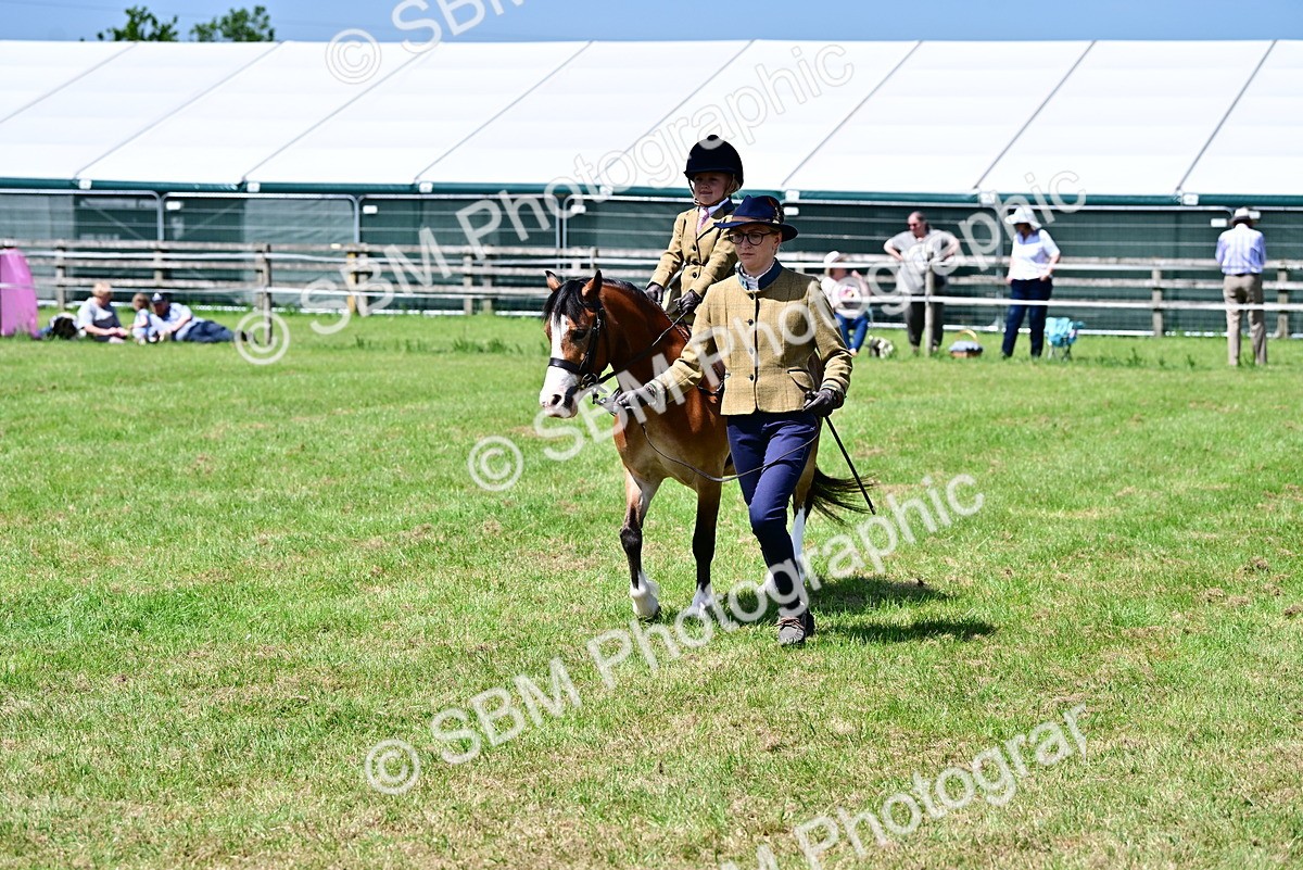 SBM_05829 - Class 59-60 - TSR M&M  Lear Rein and First Ridden Amateur of the year